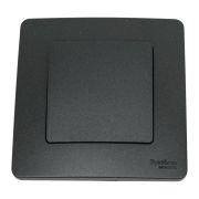 Переключатель проходной 1-кл. СП Blanca 10А IP20 (сх. 6) 250В антрацит SE BLNVS010606