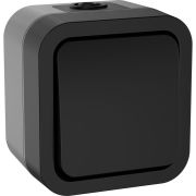 Переключатель 1-кл. ОП TORS 10А IP55 TS101 графит IEK TS-V10-0-10-55-K53